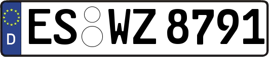 ES-WZ8791