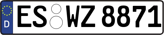 ES-WZ8871