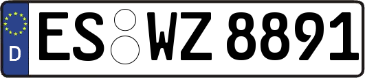 ES-WZ8891