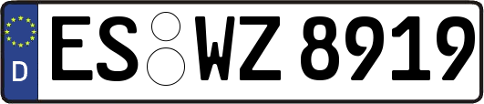 ES-WZ8919