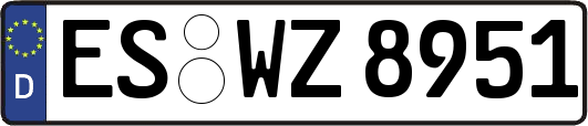 ES-WZ8951