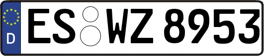 ES-WZ8953