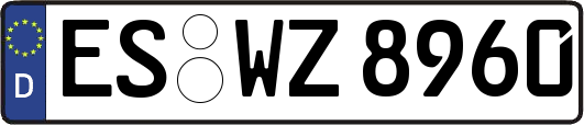 ES-WZ8960