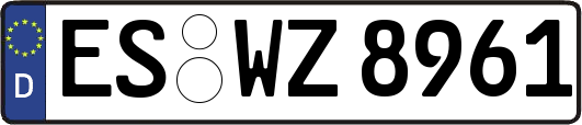 ES-WZ8961