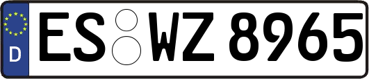 ES-WZ8965