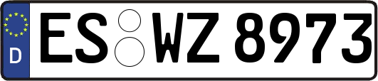 ES-WZ8973