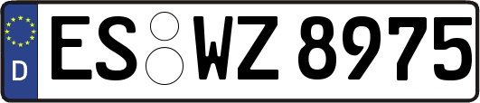 ES-WZ8975
