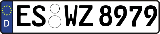 ES-WZ8979