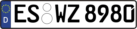 ES-WZ8980