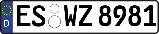 ES-WZ8981