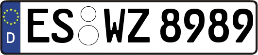 ES-WZ8989