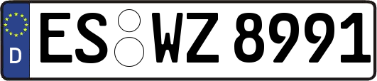 ES-WZ8991