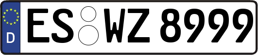 ES-WZ8999