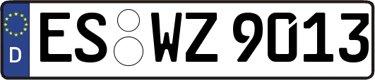 ES-WZ9013
