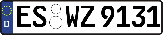 ES-WZ9131