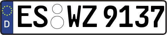 ES-WZ9137