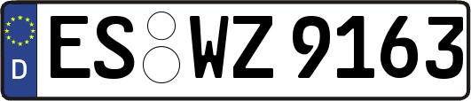 ES-WZ9163