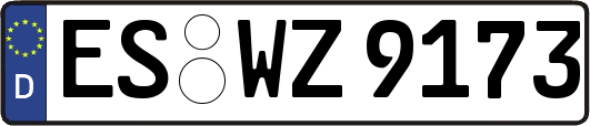 ES-WZ9173