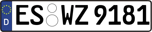 ES-WZ9181