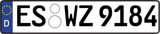 ES-WZ9184