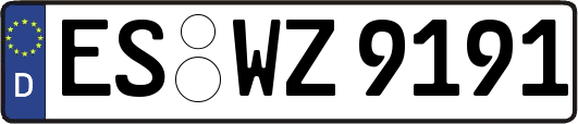 ES-WZ9191
