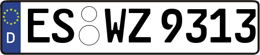 ES-WZ9313