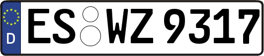 ES-WZ9317