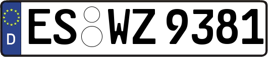ES-WZ9381