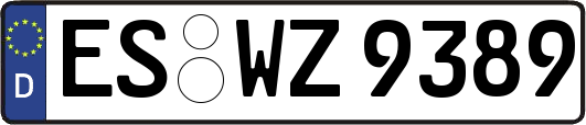 ES-WZ9389
