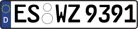 ES-WZ9391