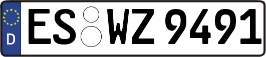 ES-WZ9491