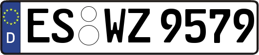 ES-WZ9579