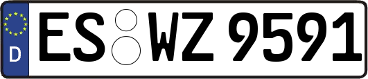 ES-WZ9591