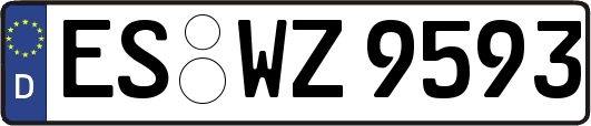 ES-WZ9593