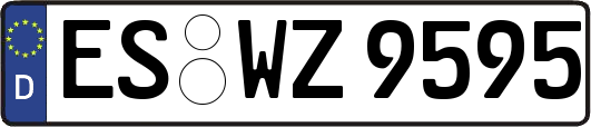 ES-WZ9595
