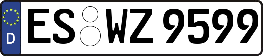 ES-WZ9599