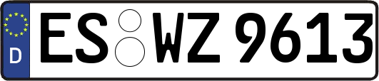 ES-WZ9613