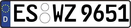 ES-WZ9651
