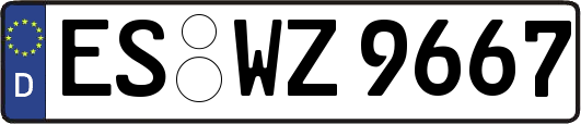 ES-WZ9667