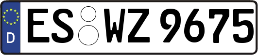ES-WZ9675