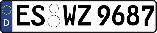 ES-WZ9687