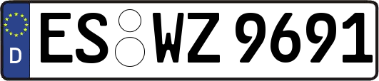 ES-WZ9691