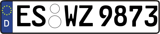 ES-WZ9873
