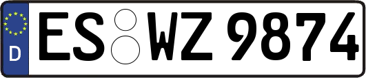 ES-WZ9874