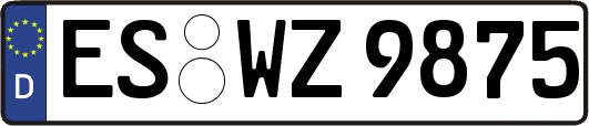 ES-WZ9875