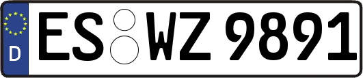 ES-WZ9891