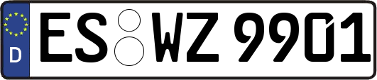 ES-WZ9901