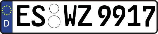 ES-WZ9917
