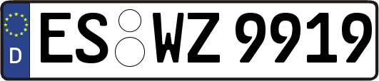 ES-WZ9919