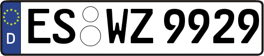 ES-WZ9929